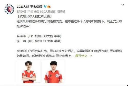 2019kplgemini吃瓜大会,揭秘电竞圈幕后风云