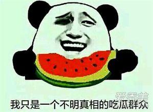 吃瓜群众qyx,揭秘娱乐圈背后的那些事儿