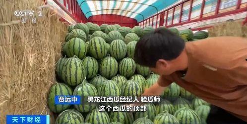 开荤了吃瓜,揭秘娱乐圈的幕后故事与热点事件