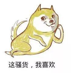 喂你吃麻瓜同学,你的魔法之旅即将开启