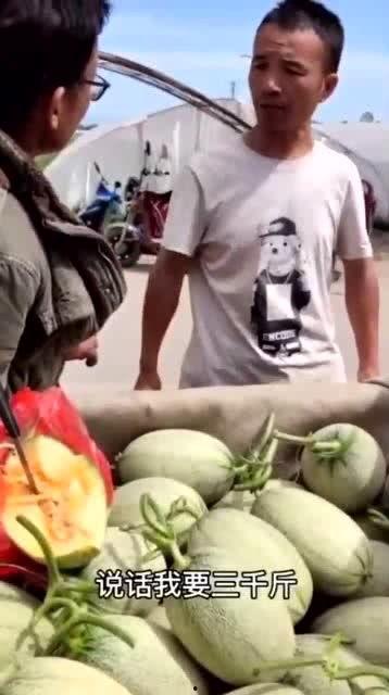 假装很忙吃瓜,揭秘“假装很忙”背后的真实故事