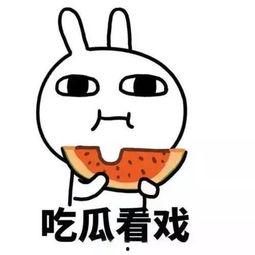 吃瓜肢体冲突,一场吃瓜引发的肢体冲突