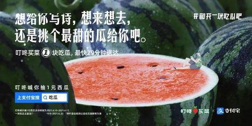 当代吃瓜文案,揭秘当代网络吃瓜文化现象