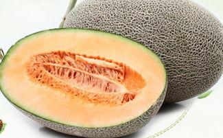 吃哈密瓜怎么,一口咬下,尽享夏日清凉