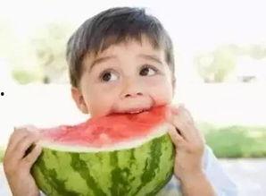 只管吃瓜视频,带你领略网络热点的魅力与趣味