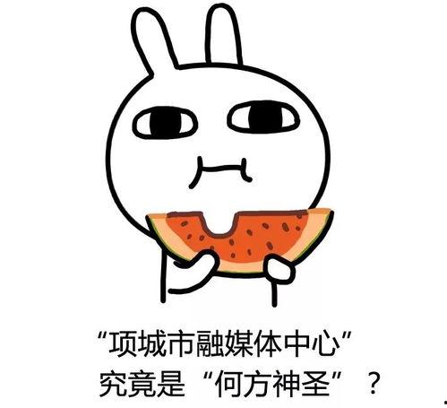 法伊吃瓜,揭秘娱乐圈背后的那些事儿