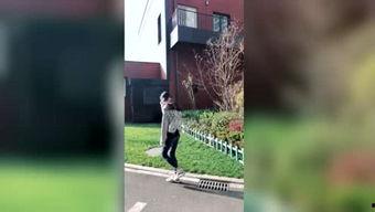 吃瓜侦探2,揭秘娱乐圈背后的秘密与真相